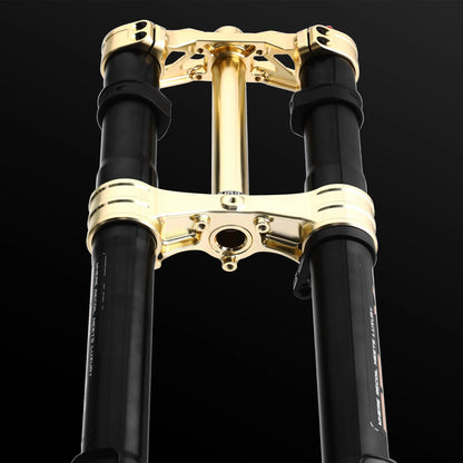 RFloXa Hawk31 Max (Gold)