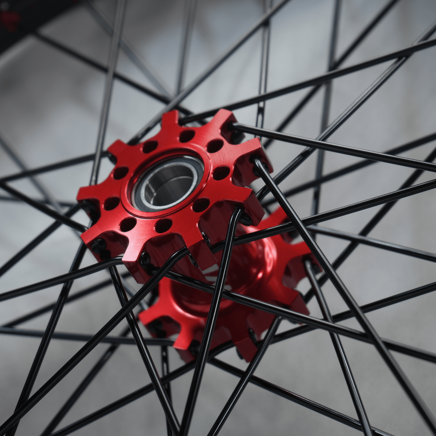 WGT Splattered V2 19x16 Wheel Set